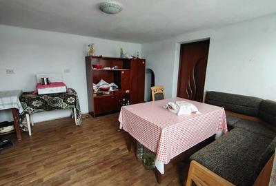 Casă cu 2 camere în Chistag - 4