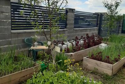 Proprietar vand casa noua, 2024, P+Mansarda in Timi?oara, Chi?oda - 3