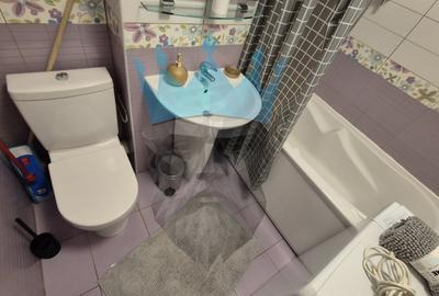 Apartament 2 Camere Decebal Piata Alba Iulia - 11