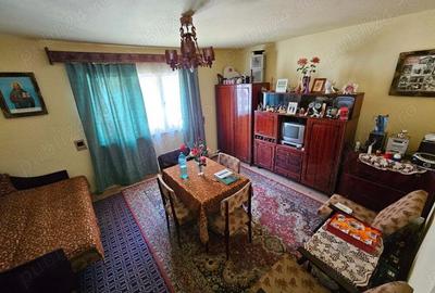 Casa de vanzare - Baia de Aries - 5