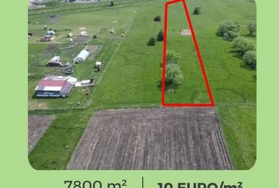 Teren extravilan de 7800 mp, în Nord-Est - 1