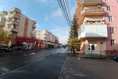 APARTAMENT CU O CAMERA-LA 5 MINUTE DE FSEGA/IULIUS MALL - 16