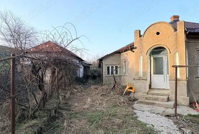 Casă cu Teren 6294 Mp în Cerbu - 2