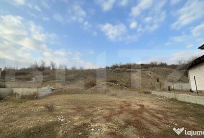 Teren de 10200 mp, în Dealuri Oradea - 3