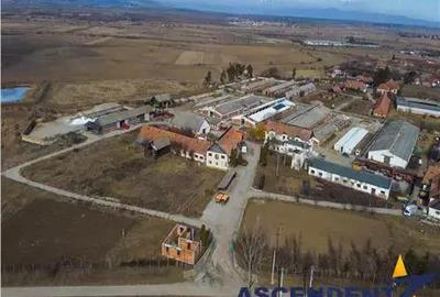 In areal linistit, acces facil, 120.000mp teren extravilan, Covasna , Borosneu Mare. - 5