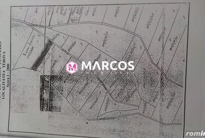 Teren Calea Caransebesului, Km 6, ID 978 - 7