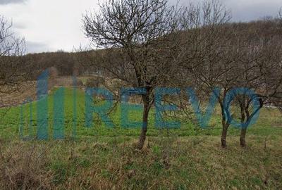 Vanzare Teren - Comuna Beresti-Tazlau, sat Bosoteni - 2