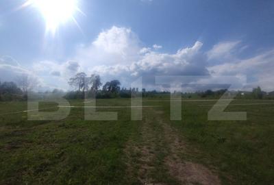 Teren intravilan, de vanzare, 6 ari, zona Leoni - 2