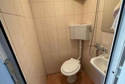 Garsonieră nedecomandată în Astra - 4