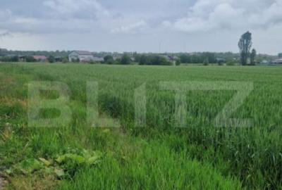 Teren pentru casa intravilan , 800 mp deschidere la drum Bod - 3