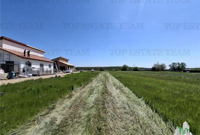 Casă individuală cu 4 camere cu Teren 500 Mp în Snagov - 6