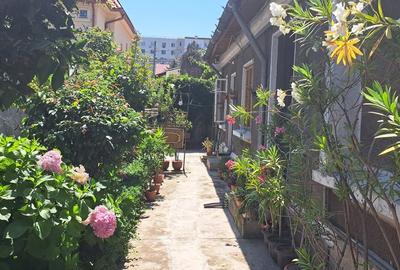 Casă cu 3 camere cu Teren 150 Mp în Alba Iulia - 3