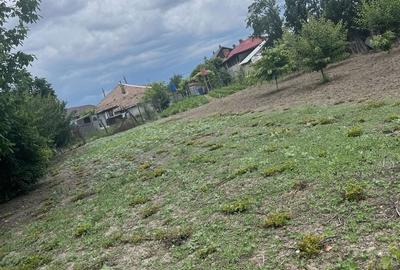 Casă cu 4 camere în Comana - 2