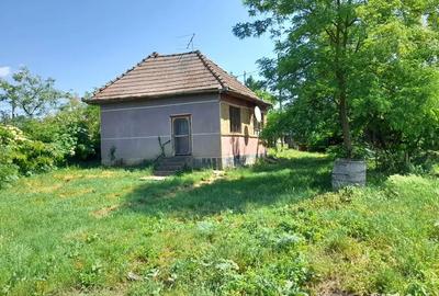 Casa 60mp + 28 arii teren, sat Sanpetru de Campie - 4