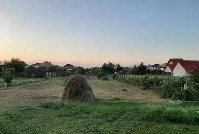 Teren de 961 mp, în Săcălaz