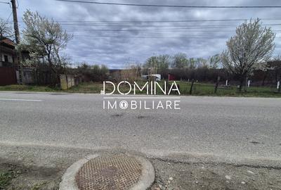 Teren Construcții de 6504 mp, în Curtișoara - 2