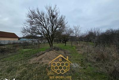 Teren de 1451 mp, în Podari - 6