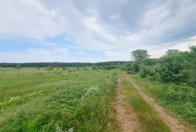 Loturi de teren intravilan 300 mp - Andronache Loturi de teren intravilan 300 mp - Andronache - 3