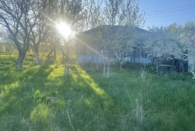 Teren de 6000 mp, în Avântu - 5