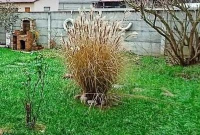 Casa de vanzare cu 3 camere , pe un nivel , 143.000 EURO negociabil - 7