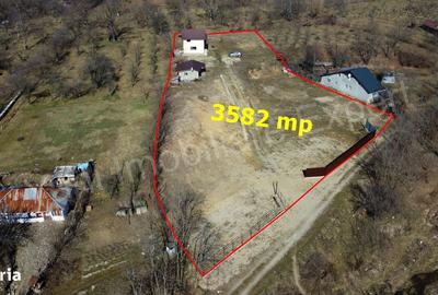 Casă cu 3 camere cu Teren 3582 Mp în Corbi - 1