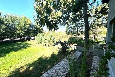 Casa S+P+1E+M pe un teren de 1430 mp in Coteana Casa S+P+1E+M pe un teren de 1430 mp in Coteana - 10