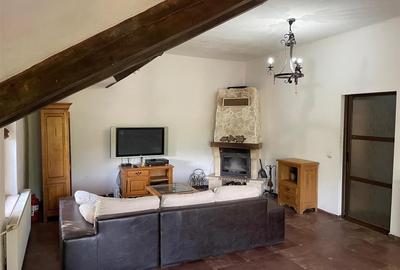 Vila deosebita, 2 corpuri P+M si P+1E, Margineni-Bacau - 25