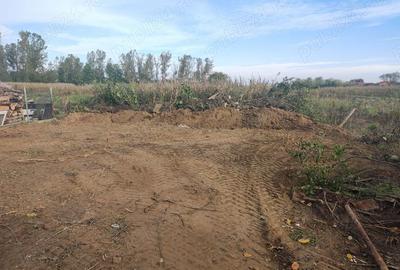 Casă cu 3 camere cu Teren 1300 Mp în Sălacea - 5