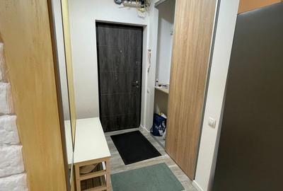 Apartament cu 3 camere decomandat în Drumul Taberei - 8