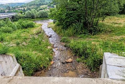 2,64 Ha TEREN SUPERB pe malul raului Crisul Repede padure parau NEGRENI - CLUJ - 15