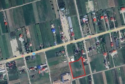 Teren de 6000 mp, în Oituz - 3