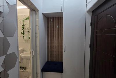 Decebal, Rond Alba Iulia, pe Moise Nicoara, renovata, mobilata si utilata lux - 11