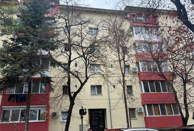 Apartament 3 camere Timisoara (Lipovei) - 2