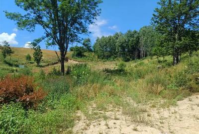 Teren de 4500 mp, în Brebu - 11