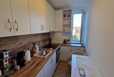 Apartament cu 1 camere decomandat în Valea Borcutului - 5