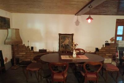 AFACERE SAU CASA DE VANZARE IN COMLOSU MIC AFACERE SAU CASA DE VANZARE IN COMLOSU MIC - 7