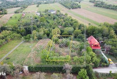 Spațiu comercial, în Cisnădioara