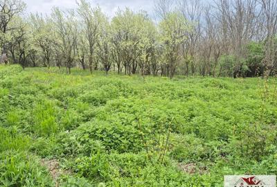Teren Construcții intravilan de 1295 mp, în Straja - 2