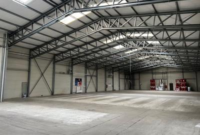 Spatiu de depozitare si productie Iuliul Maniu - 2