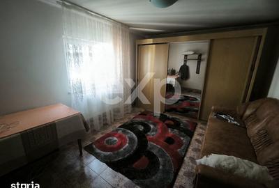 Casă cu 6 camere cu Teren 42021 Mp în Trivale - 5