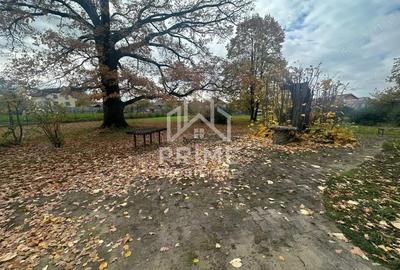 Teren de 2500 mp, în Vințu de Jos - 4