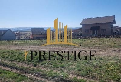 Teren Construcții intravilan de 420 mp, în Șura Mică - 6