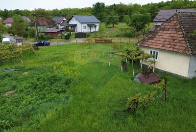 Casă individuală cu 3 camere cu Teren 3700 Mp în Arieșu de Pădure - 10