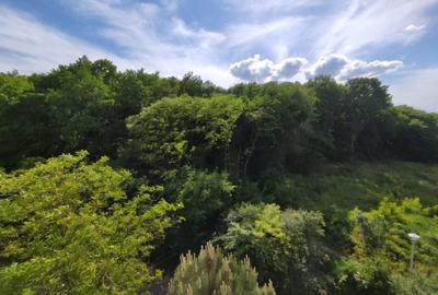 Garsonieră vânzare - 15