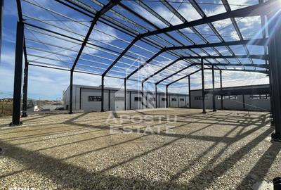 Spațiu comercial, de 540 mp, în Ghiroda - 7