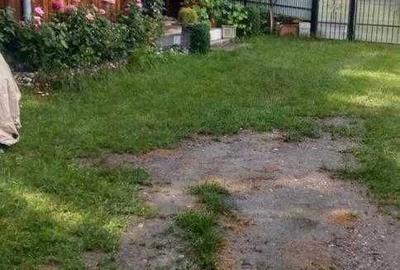 Casă cu 4 camere în Paltin - 1