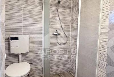 Casa la curte comuna Dambovita malul Begai - 1