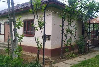 Casa de vanzare in comuna Cosoveni - 4