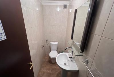 Inchiriere Vila individuala Iancu Nicolae - 17