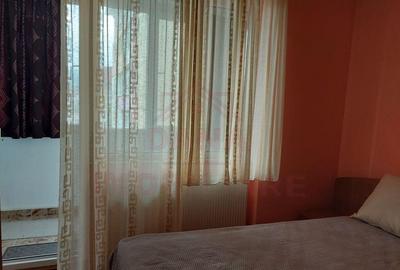 APARTAMENT LA CHEIE,2CAMERE O?elu-Ro?u,Jud.Cara?-Severin - 10